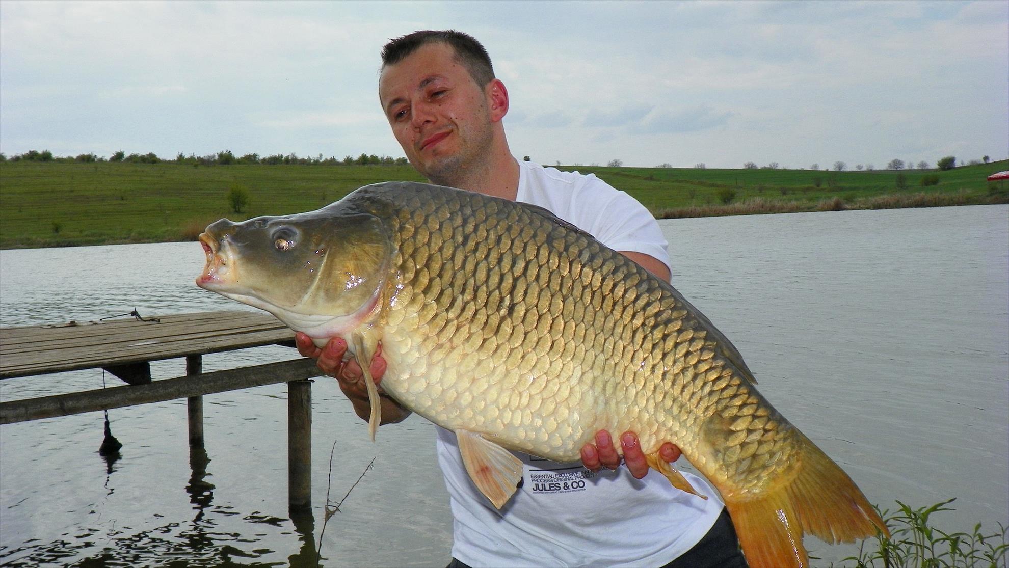 Party Cup 2011 (2)  - 1000031.JPG